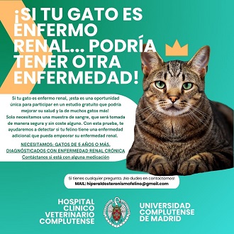 Estudio sobre el Hiperaldosteronismo